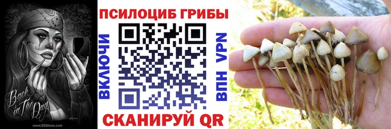 Купить  Тавда  Псилоцибиновые грибы MAGIC MUSHROOMS 